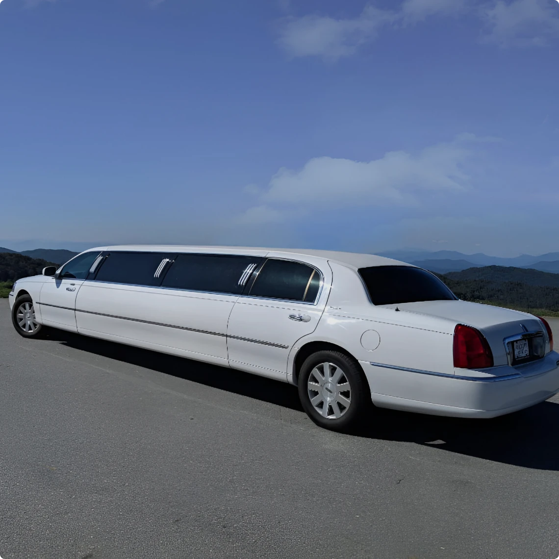 White limousine parked on scenic road